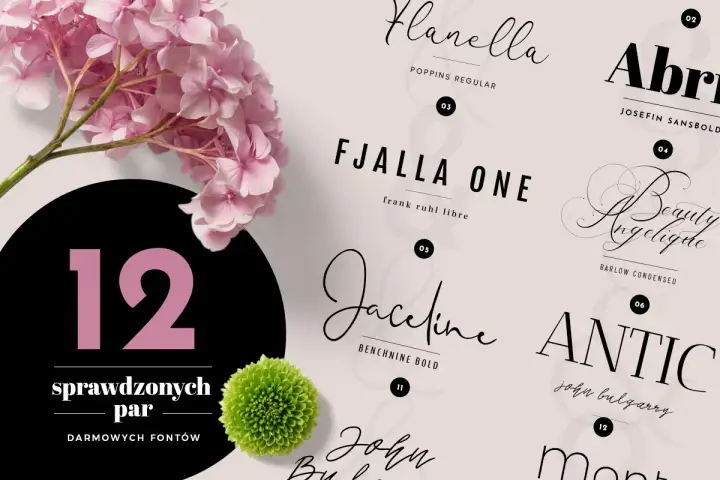 Kolekcja 12 darmowych fontów, w tym elegancki moontime font, obok różowych hortensji i zielonej chryzantemy.